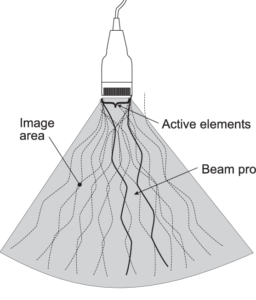 Ultrasound Transducer Phased Arrays
